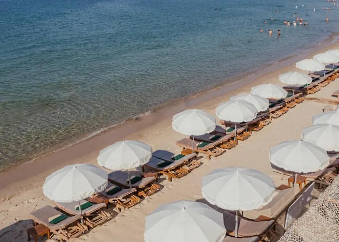 With Private Garden, Pool & 150 M Antibes